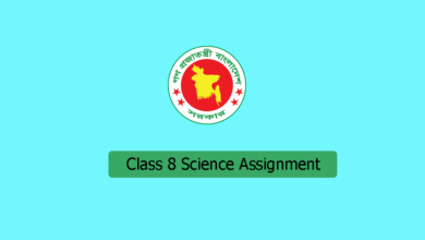 Class 8 Science Assignment