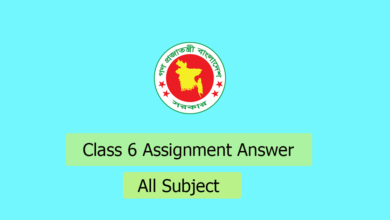 class 6 assignment