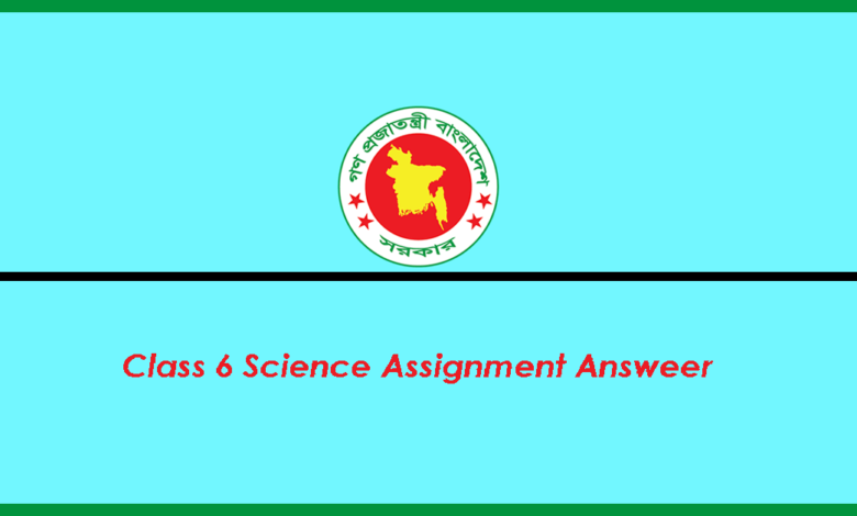 class six science assignment answer