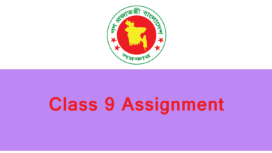 class 9 assignment