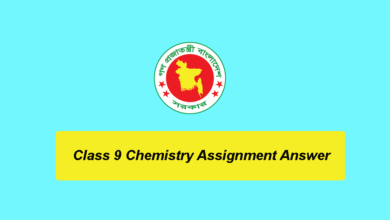 Class 9 Chemistry Assignment