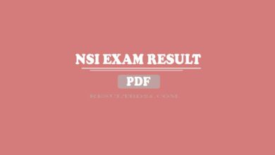 nsi result 2023