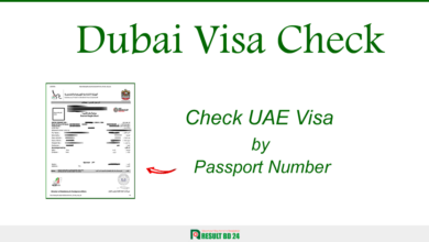 Dubai Visa Check
